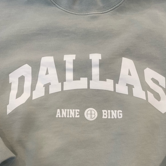 Anine Bing Mint Dallas Sweatshirt - Picture 3 of 6